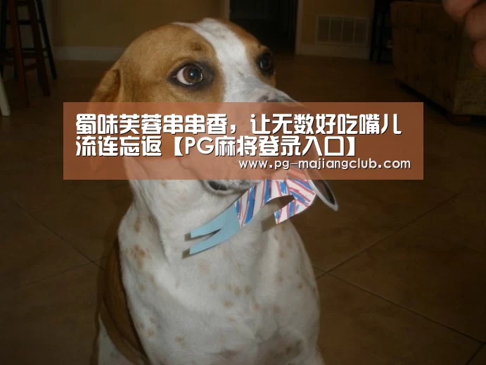 PG电子登录入口