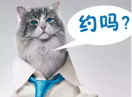 PG电子登录入口